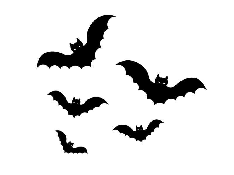 5 Bats Design