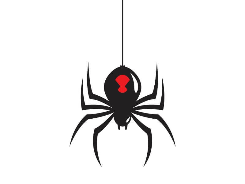 Desenho de aranha viúva negra pendurada 