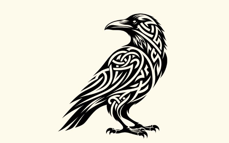 A Celtic inspired tribal raven tattoo design. 