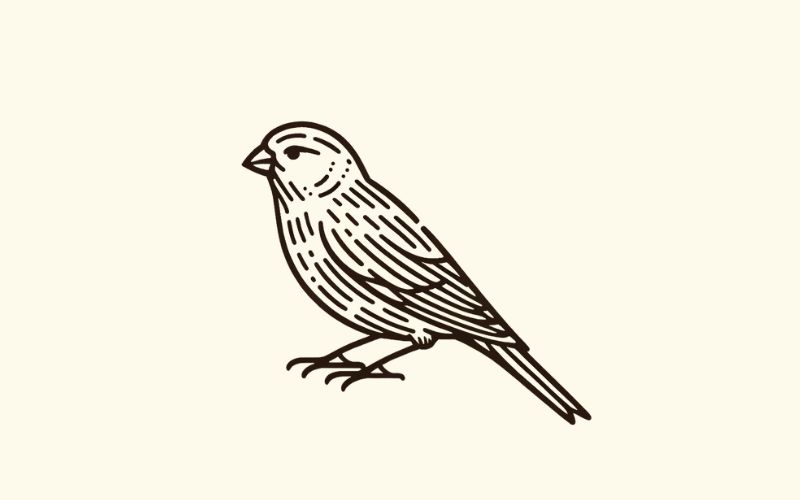 Ein Kanarienvogel-Tattoo im minimalistischen Stil.