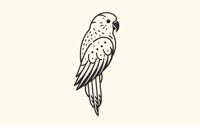 Um desenho de tatuagem de papagaio em estilo minimalista.
