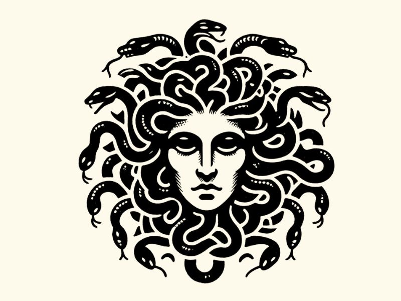 A blackwork style Medusa tattoo design. 
