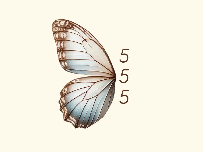 A simple 555 butterfly tattoo design.
